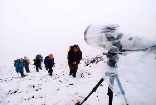 去会会白马鸡和绿尾虹稚