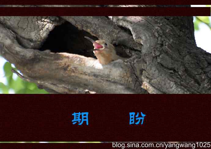 期盼（20分钟纪实片）