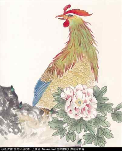 吉祥鸟图片（40P）