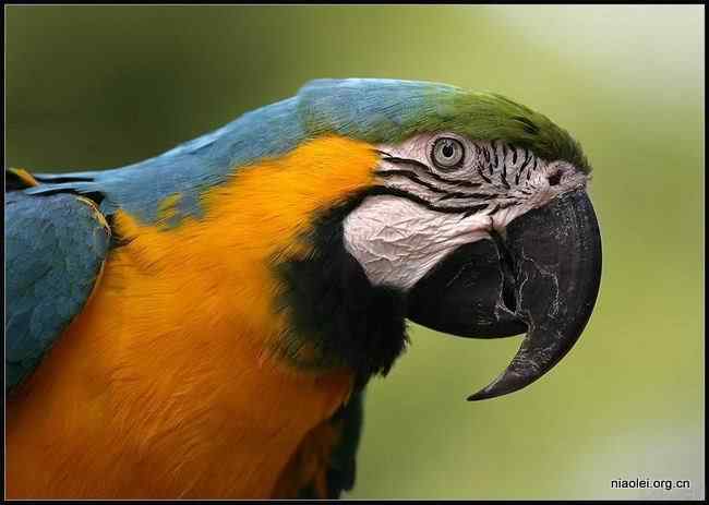 唯美至极的经典摄影图片(48p)