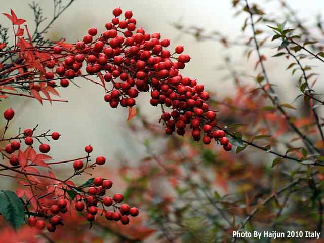 【亚平宁半岛之旅 wbr. wbr启程恢鸟】