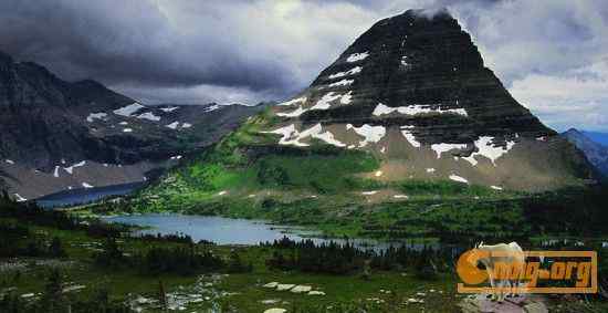 [组图]沃尔夫(Wolfe)动物摄影艺术精选