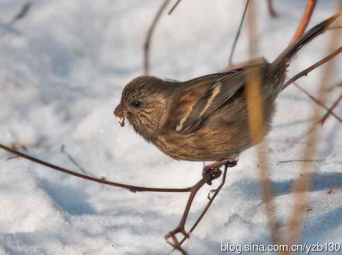 进步版鈥湷の踩糕潱ㄗ橥迹8张图片）