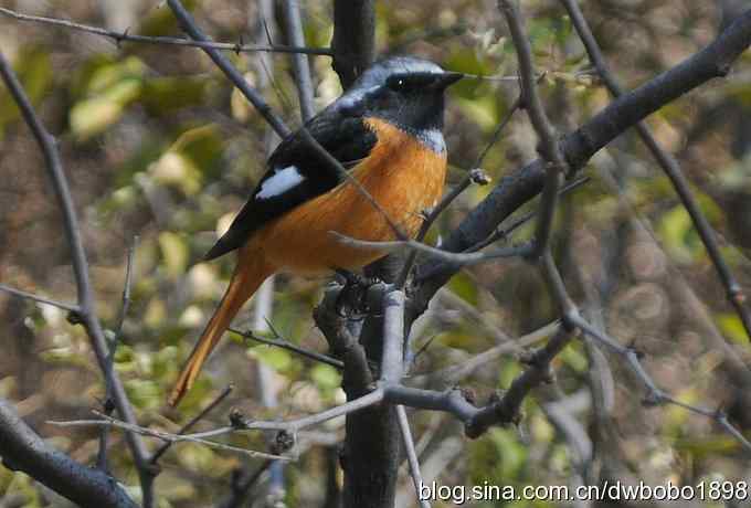 秋到白河湾 秋到白河湾