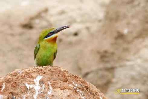 盛夏天拍鈥溊鹾矸浠⑩