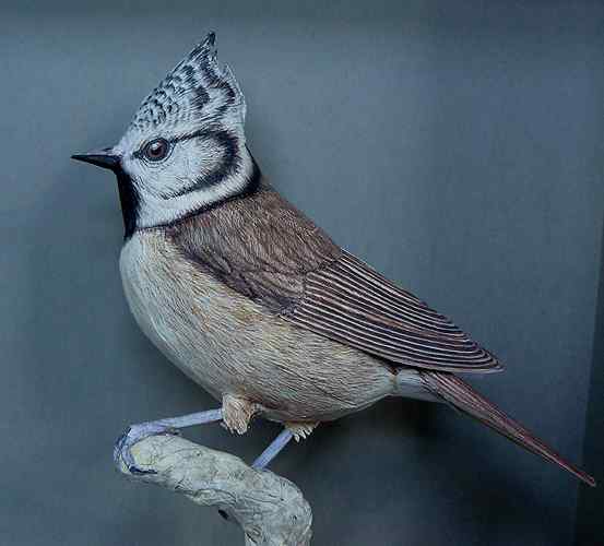 荷兰艺术家叹为止观的3D折纸小鸟