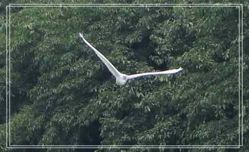 我的大生活之鈥溕隳衿濃1