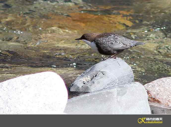孟屯河拍鈥満游阝潯臼蹬摹