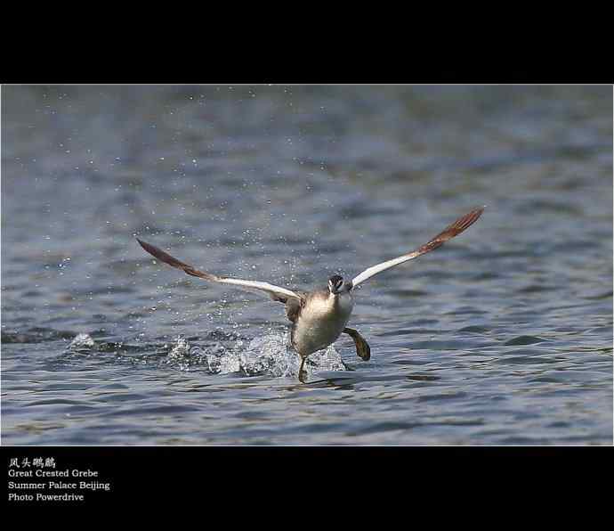 【人间四月天】