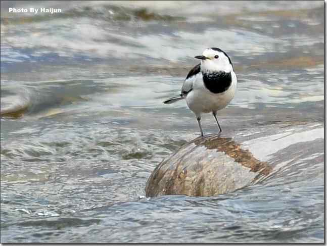  点击图片或使用键盘← →翻页