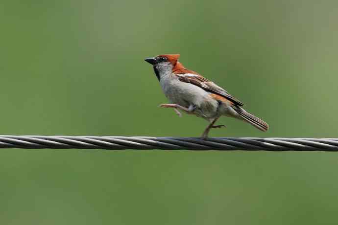 【综合】山间风景“线”