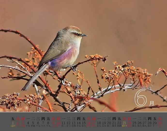 珍惜生命中的每一天-献给我的2012【图】