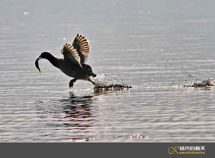 鈥湽嵌ゼ︹澨だ