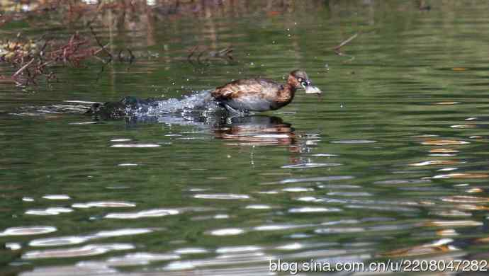 185.再见了小！