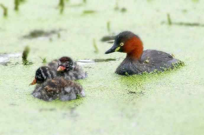 鈥溌杪栉乙...鈥