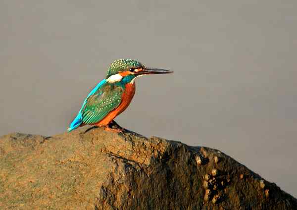 与小翠的亲密接触，珠海独行（三）（组图）