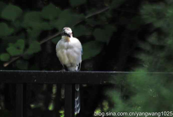 它是鈥湷の财骛题澛穑浚锹及妫