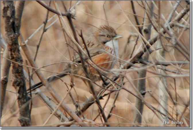 点击图片或使用键盘← →翻页