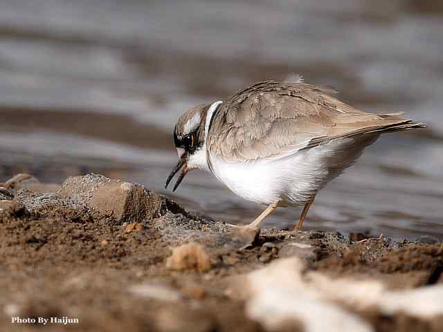 游走山水 猎摄河湾