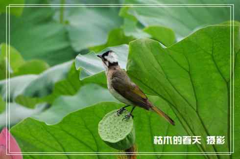 我与鈥湴淄佛恰綛ei】鈥