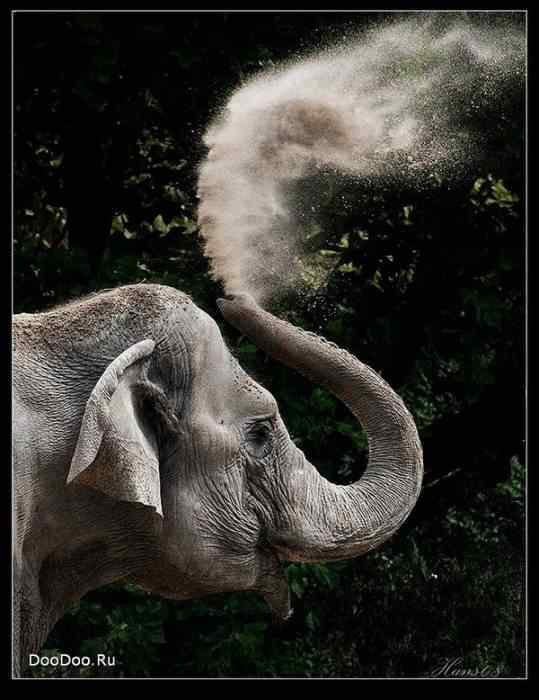 动物世界图片(下) 动物世界图片(下)