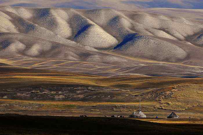 巴音布鲁克越冬的天鹅