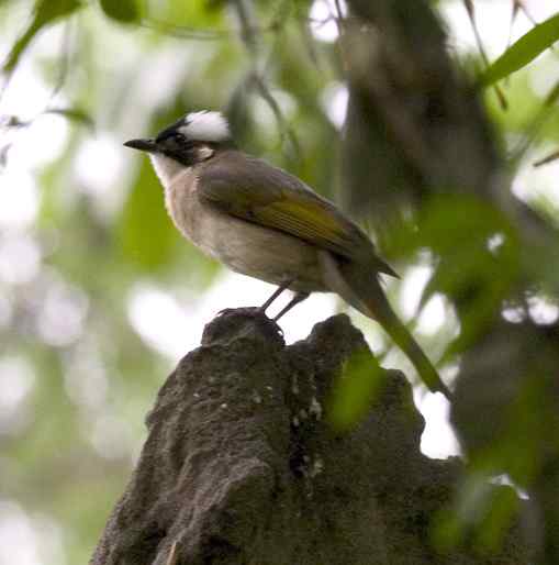 春天音乐会 春天音乐会