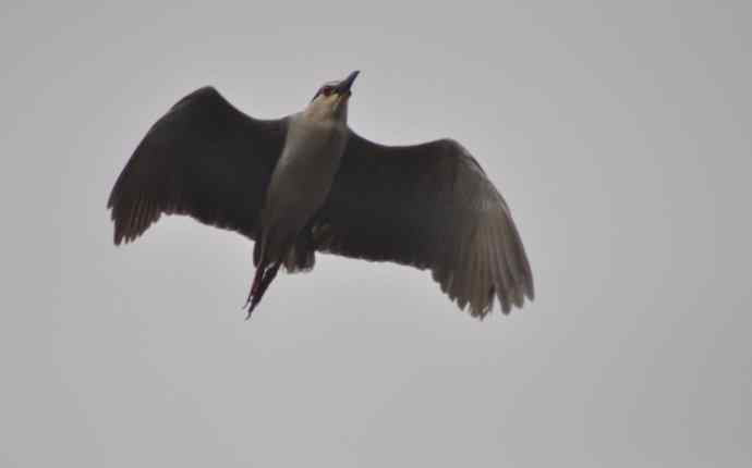 20100505当日总结