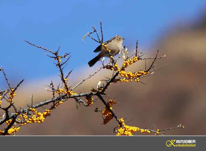 寻梦鈥溠趴讼拟潯臼蹬摹