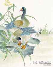 吉祥鸟水彩画手机壁纸