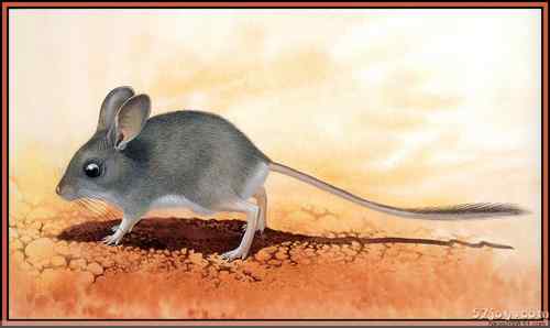 世界灭绝动物画像大全