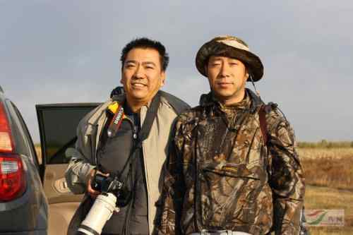 林甸的白头鹤 林甸的白头鹤