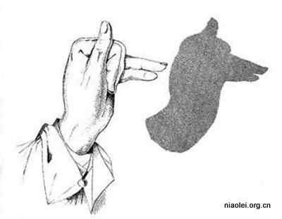 各种动物的手影