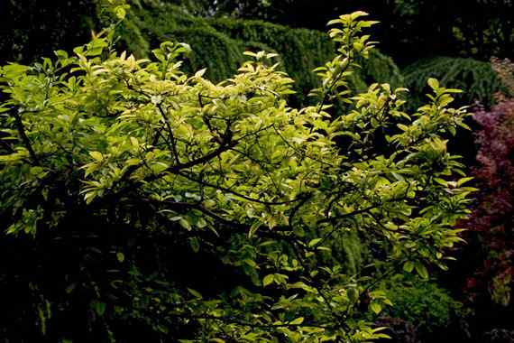 春天音乐会 春天音乐会