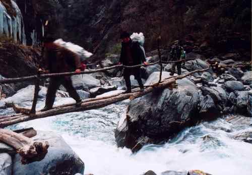 去会会白马鸡和绿尾虹稚