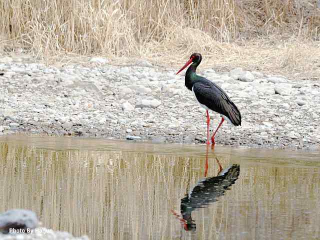 游走山水 猎摄河湾
