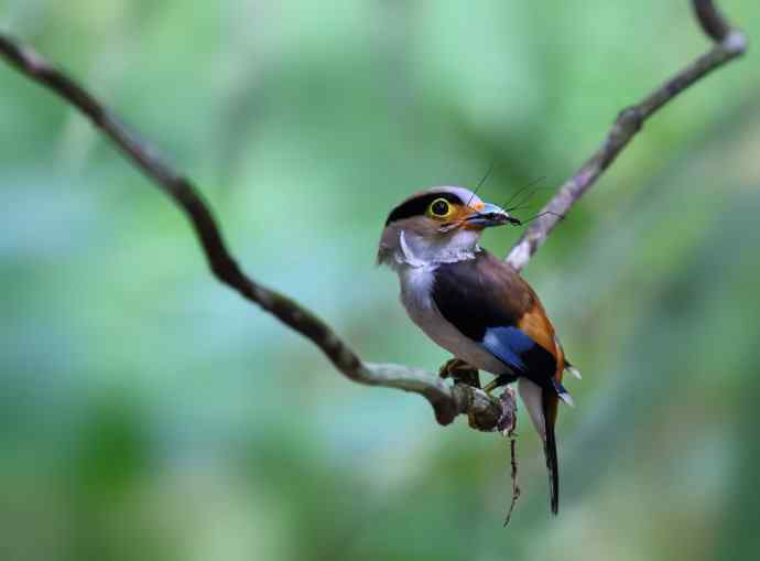 此情可待成追忆 wbr只是当时已惘然（我的阔嘴情缘）