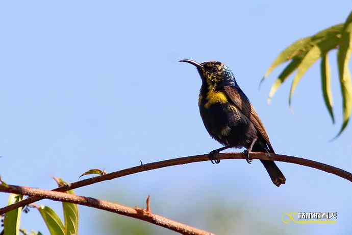 美丽邂逅鈥斺斪仙勰
