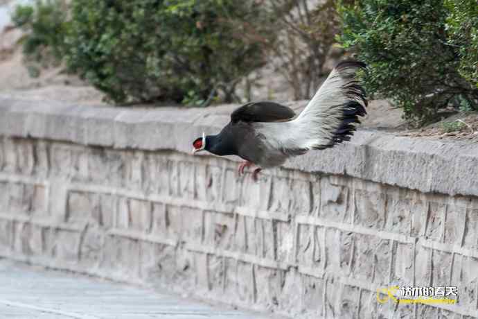 玄中古寺拍鈥満致恚Γ┾