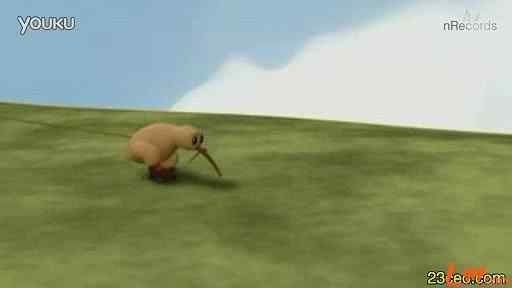 【视频】奇异鸟 追寻梦想