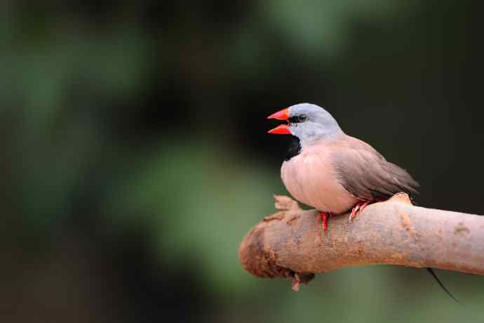 不要问我从哪里来 wbr我的故乡在远方