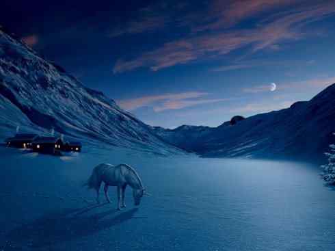 独角兽：传说的兽