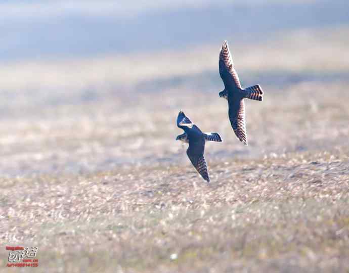 官厅水库 wbr路 wbr金秋十一猛 官厅水库 wbr路 wbr金秋十一猛