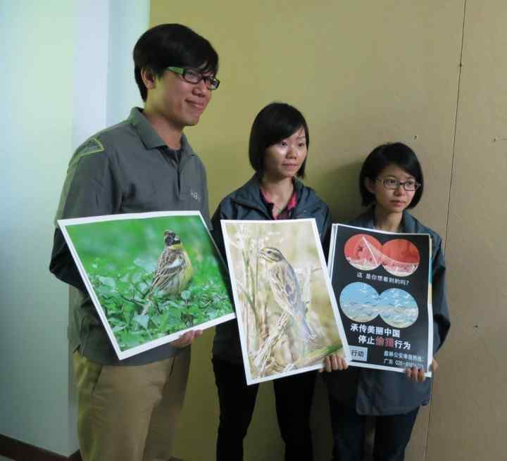 香港观鸟会：滥捕严重，黄胸鹀(禾花雀)十年升三级至濒危级别