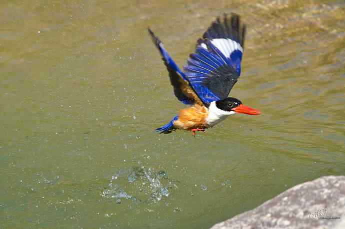 幽谷蓝妃出浴图 幽谷蓝妃出浴图