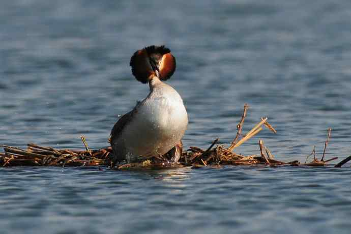 清明假日惬意的午后时光