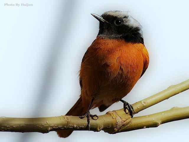 游走山水 猎摄河湾