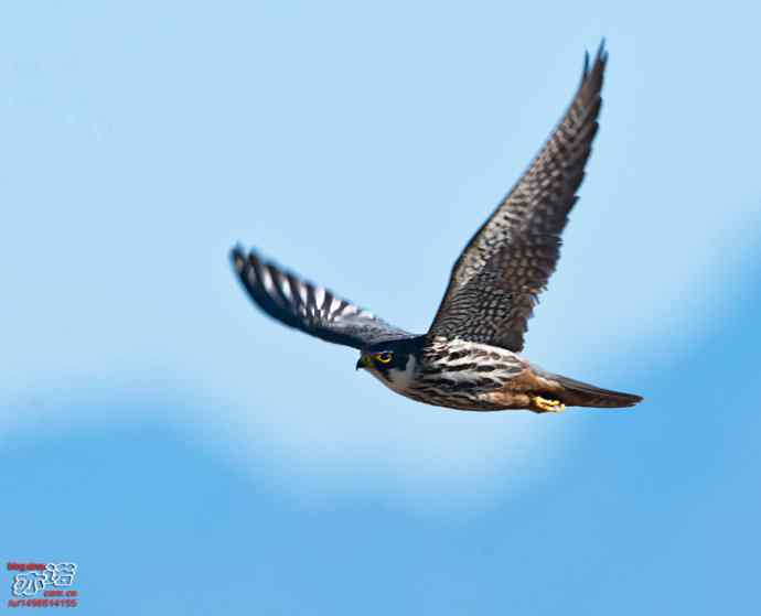 官厅水库 wbr路 wbr金秋十一猛 官厅水库 wbr路 wbr金秋十一猛