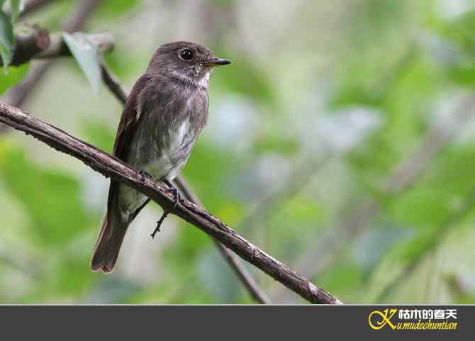 迁徙前哨鈥斺斘邡O【照片】