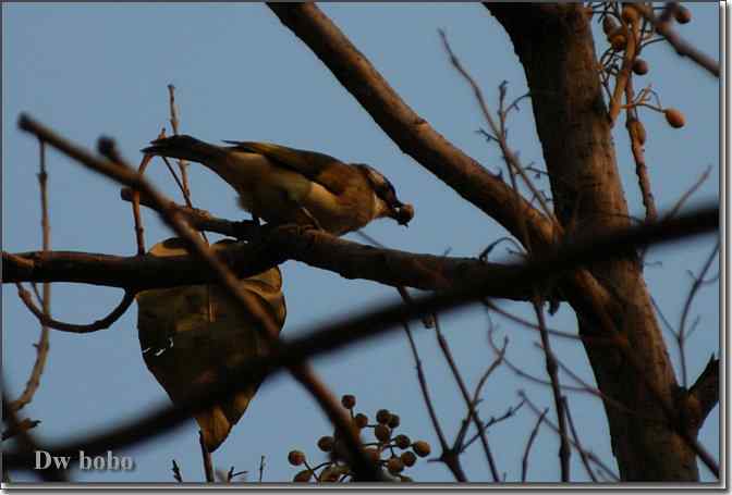 点击图片或使用键盘← →翻页